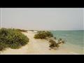 جزيرة ابو منقار (9)