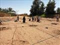 تنفيذ أول مزرعة أشجار توت لإنتاج الحرير الطبيعي بقرية البشندي بالوادي الجديد  (7)
