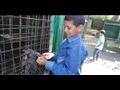 إقبال كثيف على حديقة الحيوان بالإسكندرية في عيد الأضحى (4)