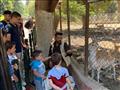 حديقة الحيوان خلال أيام عيد الأضحى (2)