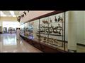 متحف التاريخ الطبيعي بحديقة الحيوان بالإسكندرية (14)