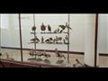 متحف التاريخ الطبيعي بحديقة الحيوان بالإسكندرية (19)