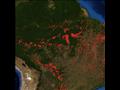 حرائق الأمازون (5)