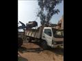 رفع 240 طن قمامة ومخلفات صلبة من قرى المنيا (4)