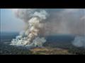 حريق غابات الأمازون