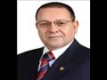 الدكتور محمد ربيع ناصر
