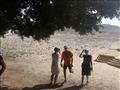 وفد سياحي يزور آثار بني حسن في المنيا (4)