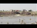 إزالة المزارع السمكية المخالفة جنوب بورسعيد٥