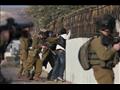 الاحتلال يعتقل 12 فلسطينيا 