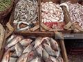 سوق للأسماك 