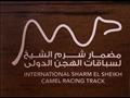 افتتاح السيسي وبن زايد مهرجان شرم الشيخ التراثي