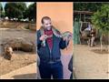 انتهاكات ضد الحيوانات بحديقة حيوان الإسكندرية