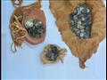 العثور على 370 عملة معدنية في كنيسة أثرية بالمنيا