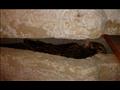 هياكل عظمية وتوابيت في مقابر تونا الجبل الأثرية بالمنيا