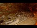 هياكل عظمية وتوابيت في مقابر تونا الجبل الأثرية بالمنيا