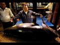 بيع سمكة تونة ضخمة مقابل 8ر1 مليون دولار