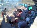 أجانب ومصريون يجمعون المخلفات من مياه ساحل الإسكندرية 