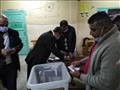 بدء فرز أصوات الناخبين في الإسكندرية (2)