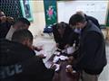 بدء فرز أصوات الناخبين في الإسكندرية (3)