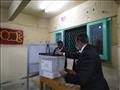 بدء فرز أصوات الناخبين في الإسكندرية (4)