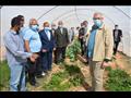 وزير الزراعة والري يتفقدان 16 صوبة زراعية في الواد