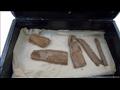 قطع خشبية عمرها 5000 عام