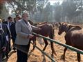 وزير الزراعة يتفقد محطة الزهراء للخيول العربية الأ