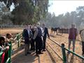 وزير الزراعة يتفقد محطة الزهراء للخيول العربية 