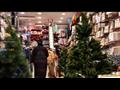 أشجار وزينة عيد الميلاد للبيع في متجر للهدايا في ا