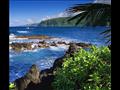 ماوي-هاواي