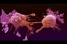 تدمير الخلايا السرطانية