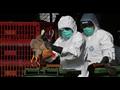 السعودية تسجل اول حالات إصابة بإنفلونزا الطيور