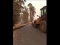 انهيار حوائط منازل وسقوط أشجار بسبب الطقس السيئ في أسيوط