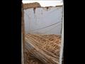 ٢٠٠ فدان لبناء منازل للمتضررين من النمل الأبيض بالوادي الجديد