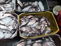 أسعار السمك والمأكولات البحرية