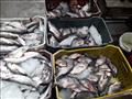 ارتفاع أسعار الأسماك في كفر الشيخ