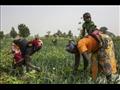امرأتان تعملان في الزراعة في الكاميرون