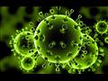 فيروس كورونا ليس إنفلونزا ويمكن إحتواؤه بالإجراءات