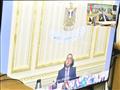 محافظ أسيوط يتواصل مع رئيس الوزراء عبر الفيديوكونفرانس 
