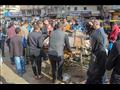 إزالة الأسواق الشعبية في الإسكندرية 