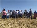 محافظ بورسعيد يشهد موسم حصاد القمح