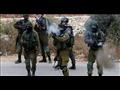 القوات الإسرائيلية                                