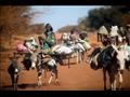 أفراد قبيلة من الرحل في جنوب السودان