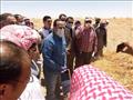 محافظ شمال سيناء يفتتح موسم حصاد القمح والشعير