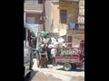 رفع 20 طن قمامة ومخلفات صلبة من شوارع المنيا