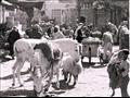  سوق حيفا للخضار عام 1946