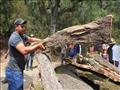 عمليات قطع عشوائية واسعة النطاق للأشجار في الغابات