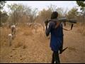  مربي ماشية مسلح يرعى قطيعه قرب تونج بوسط دولة جنو