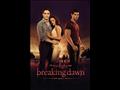 The Twilight Saga Breaking Dawn  Part 1
