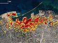  ناسا تكشف حجم الدمار بعد انفجار بيروت 